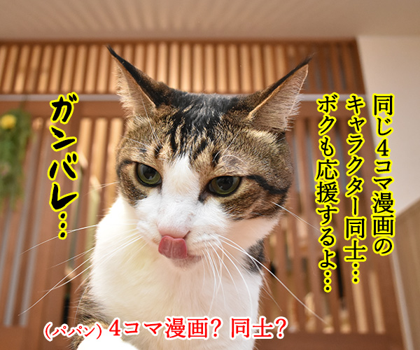 入口 出口 田口被告が土下座謝罪なのッ　猫の写真で４コマ漫画　３コマ目ッ