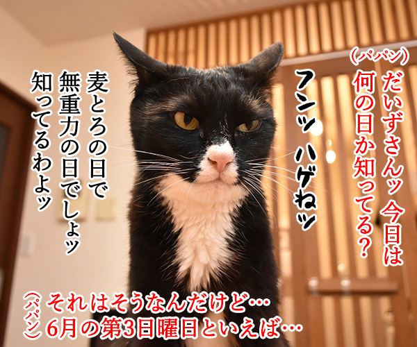 6月の第3日曜日は父の日なのよッ　猫の写真で４コマ漫画　１コマ目ッ