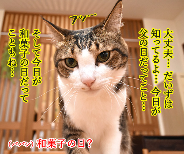 6月の第3日曜日は父の日なのよッ　猫の写真で４コマ漫画　３コマ目ッ