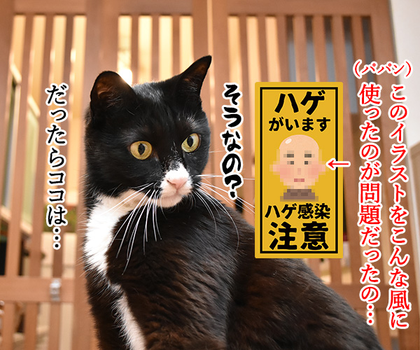 ウチのハゲがスミマセンしたッ　猫の写真で４コマ漫画　３コマ目ッ