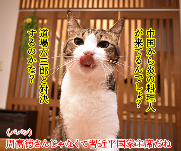 大阪で何やら開催してるらしいのよッ　猫の写真で４コマ漫画　２コマ目ッ