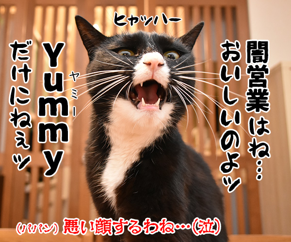 闇営業で無期限の謹慎処分なのッ　猫の写真で４コマ漫画　４コマ目ッ