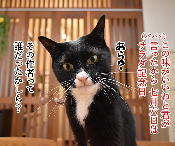 7月6日はサラダ記念日なのッ　猫の写真で４コマ漫画　１コマ目ッ