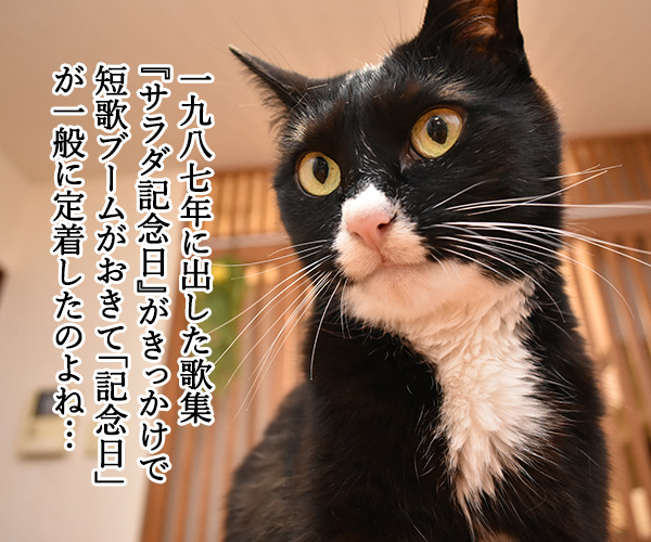 7月6日はサラダ記念日なのッ　猫の写真で４コマ漫画　３コマ目ッ