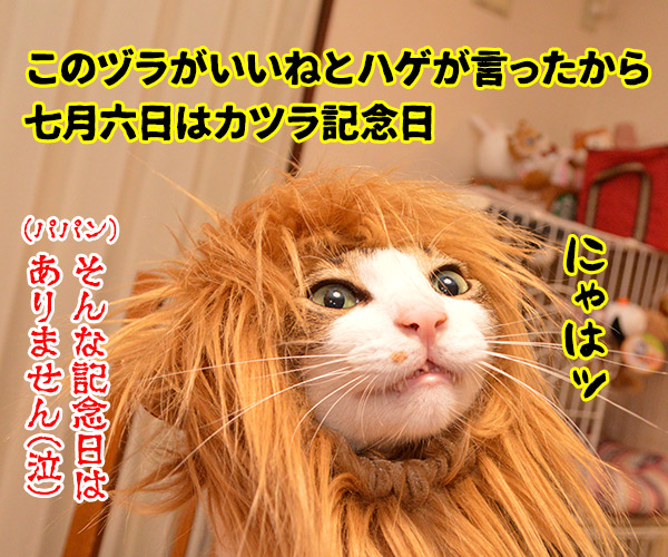 7月6日はサラダ記念日なのッ　猫の写真で４コマ漫画　４コマ目ッ