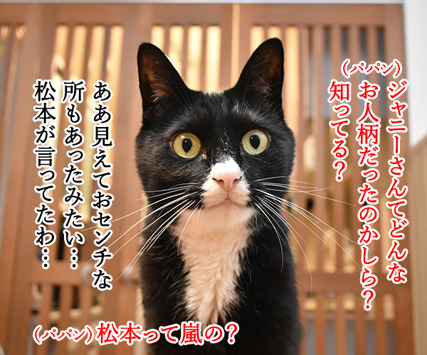 ジャニー喜多川さんのご冥福を心よりお祈り申し上げます　猫の写真で４コマ漫画　３コマ目ッ