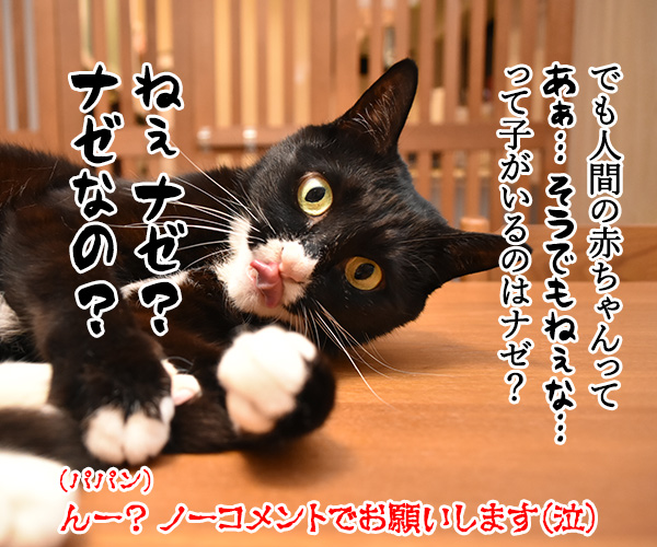 子猫のかわいさは最強よねッ　猫の写真で４コマ漫画　４コマ目ッ