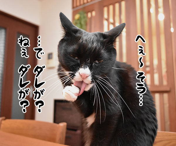 きょうは大暑（たいしょ）なんですってッ　猫の写真で４コマ漫画　２コマ目ッ