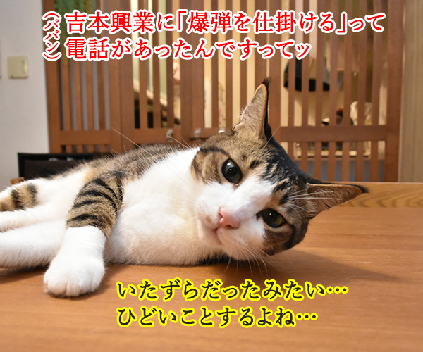 吉本興業で爆弾騒ぎがあったのよッ　猫の写真で４コマ漫画　１コマ目ッ