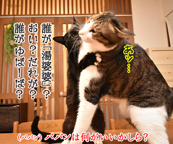 『千と千尋の神隠し』ごっこするよーッ　猫の写真で４コマ漫画　３コマ目ッ