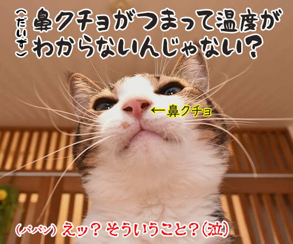 なぜ猫さんは涼しいところを見つけられるのかしら？　猫の写真で４コマ漫画　４コマ目ッ