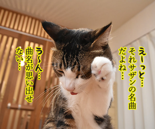 あの曲名が思い出せないのよッ　猫の写真で４コマ漫画　２コマ目ッ