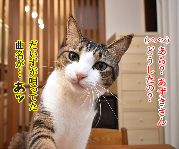 あの曲名が思い出せないのよッ　猫の写真で４コマ漫画　３コマ目ッ