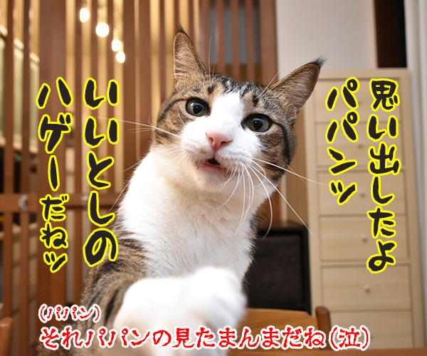 あの曲名が思い出せないのよッ　猫の写真で４コマ漫画　４コマ目ッ