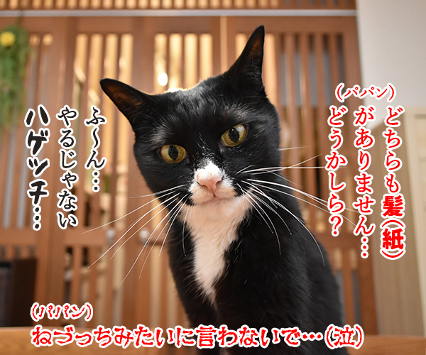 なぞかけやってみなさいよッ　猫の写真で４コマ漫画　２コマ目ッ