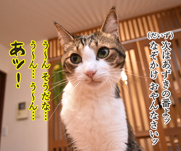 なぞかけやってみなさいよッ　猫の写真で４コマ漫画　３コマ目ッ