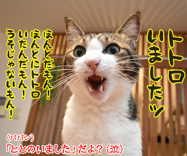 なぞかけやってみなさいよッ　猫の写真で４コマ漫画　４コマ目ッ