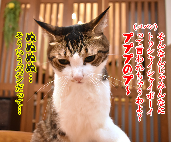 きょうはメンズバレンタインデーなんですってーッ　猫の写真で４コマ漫画　３コマ目ッ