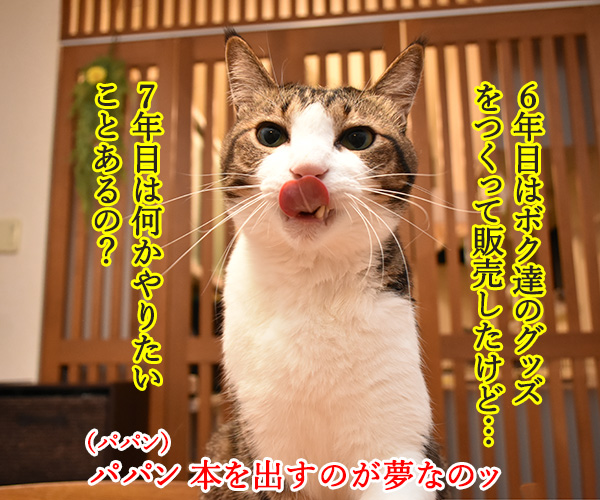 今日から7年目突入デースッ　猫の写真で４コマ漫画　２コマ目ッ