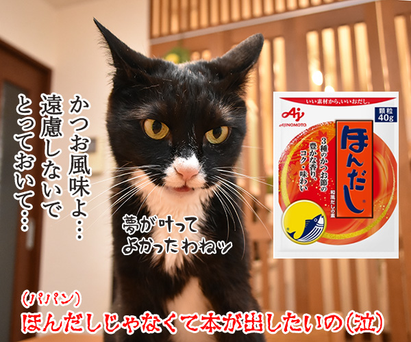 今日から7年目突入デースッ　猫の写真で４コマ漫画　４コマ目ッ