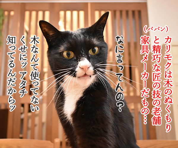 カリモクのキャットタワーはとってもシャレオツなのよッ　猫の写真で４コマ漫画　３コマ目ッ