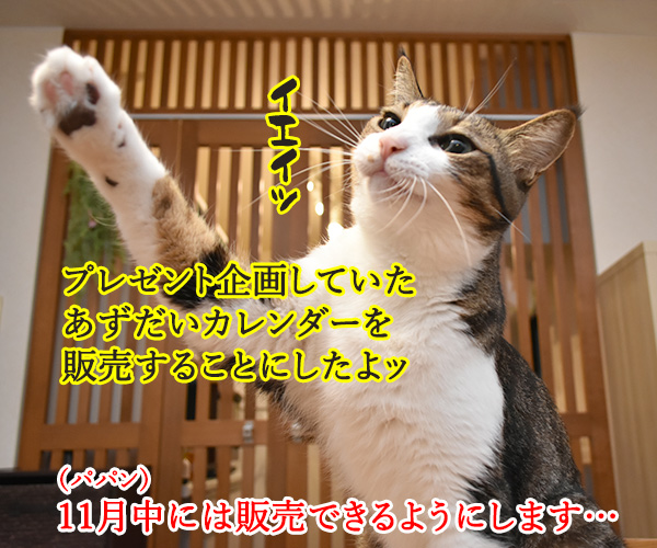 カレンダー発売＆年内のご案内なのよッ　猫の写真で４コマ漫画　１コマ目ッ