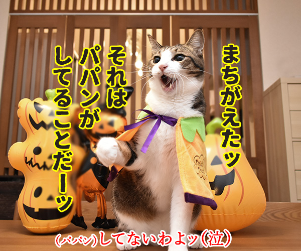 ハロウィン お菓子くれなきゃイタズラしちゃうぞッ（あずき編）　猫の写真で４コマ漫画　２コマ目ッ