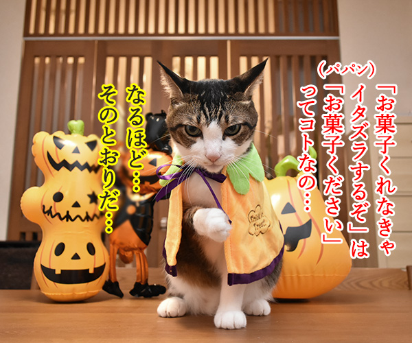 ハロウィン お菓子くれなきゃイタズラしちゃうぞッ（あずき編）　猫の写真で４コマ漫画　３コマ目ッ