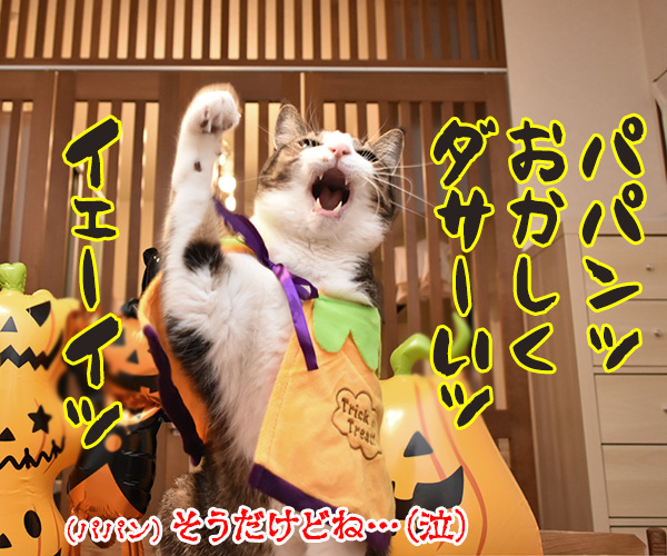 ハロウィン お菓子くれなきゃイタズラしちゃうぞッ（あずき編）　猫の写真で４コマ漫画　４コマ目ッ