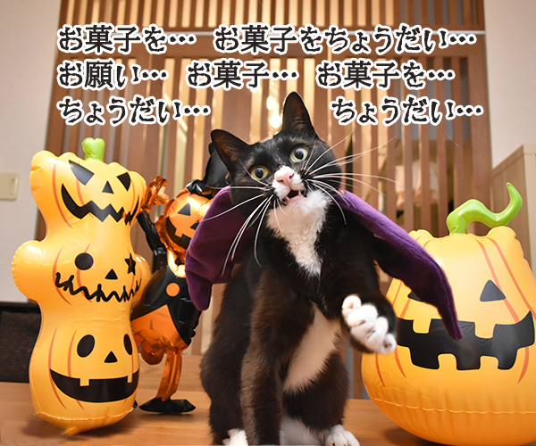 ハロウィン お菓子くれなきゃイタズラしちゃうぞッ（だいず編）　猫の写真で４コマ漫画　２コマ目ッ