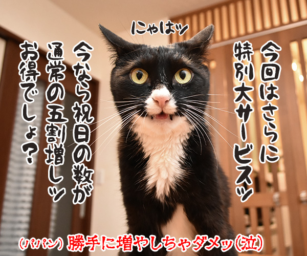 あずだいカレンダー 販売開始デースッ　猫の写真で４コマ漫画　４コマ目ッ