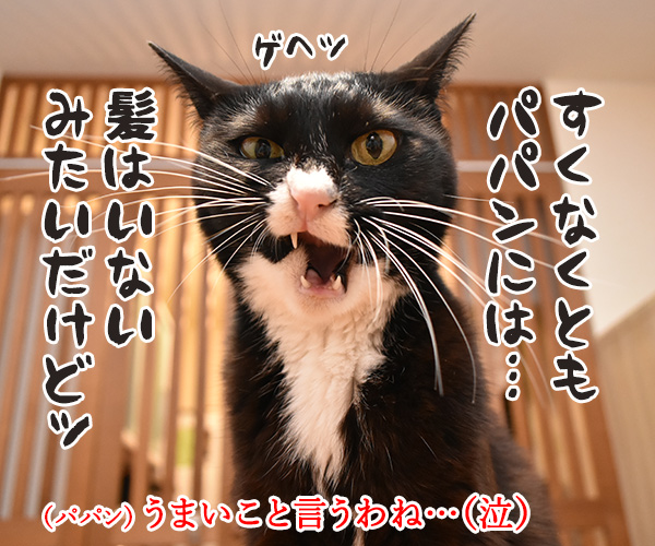 神も仏もあったもんじゃないわよねッ　猫の写真で４コマ漫画　３コマ目ッ