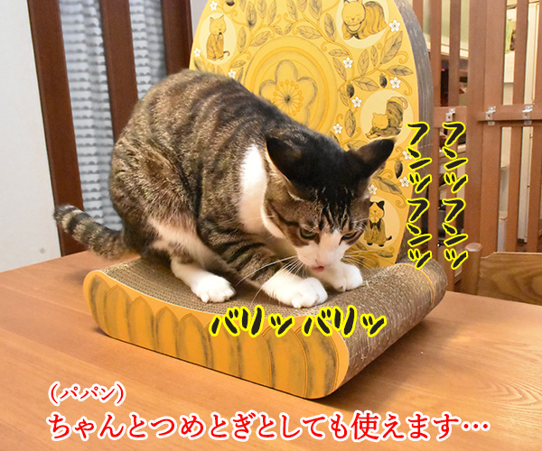 神も仏もあったもんじゃないわよねッ　猫の写真で４コマ漫画　６コマ目ッ