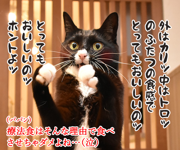 猫さんに多い病気は慢性腎臓病（腎不全）なのよッ　猫の写真で４コマ漫画　４コマ目ッ