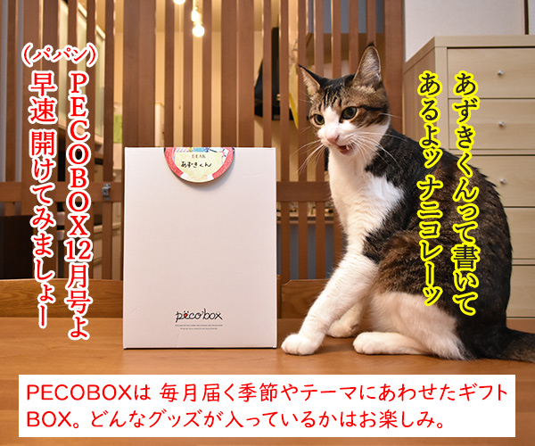 PECOBOXの12月号はクリスマス特別号なのッ