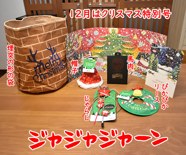 PECOBOXの12月号はクリスマス特別号なのッ　猫の写真で４コマ漫画　３コマ目ッ