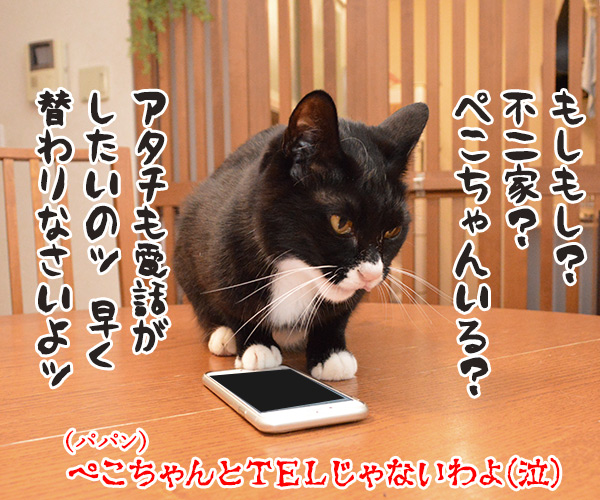 PECOBOXの12月号はクリスマス特別号なのッ　猫の写真で４コマ漫画　５コマ目ッ