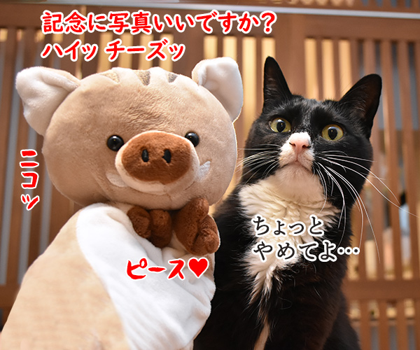 干支の猪も今日で終わりなのッ　猫の写真で４コマ漫画　２コマ目ッ