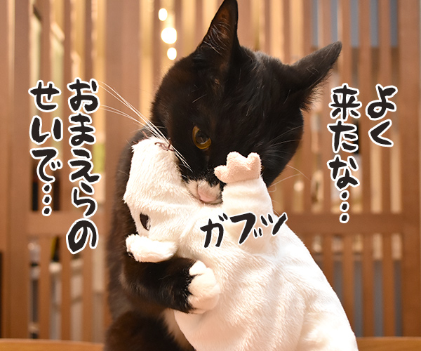 来年の干支のねずみさんがご挨拶なのッ　猫の写真で４コマ漫画　２コマ目ッ