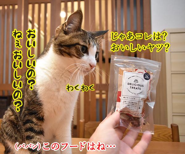 PECOBOXの1月号はお正月特別号なのッ　猫の写真で４コマ漫画　４コマ目ッ