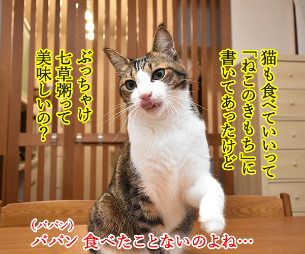 1月7日は「七草」 七草粥を食べるんですってッ　猫の写真で４コマ漫画　２コマ目ッ