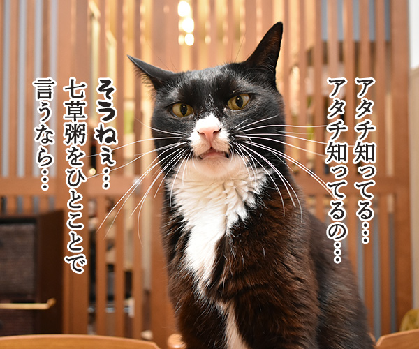 1月7日は「七草」 七草粥を食べるんですってッ　猫の写真で４コマ漫画　３コマ目ッ