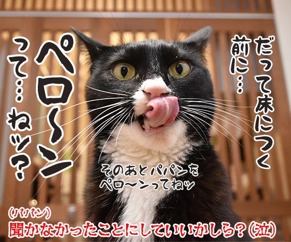 ウンチをしたあと、猫のお尻を拭きますか？　猫の写真で４コマ漫画　４コマ目ッ