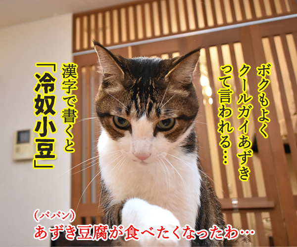 猫さんってクールなイメージがあるよねッ　猫の写真で４コマ漫画　２コマ目ッ