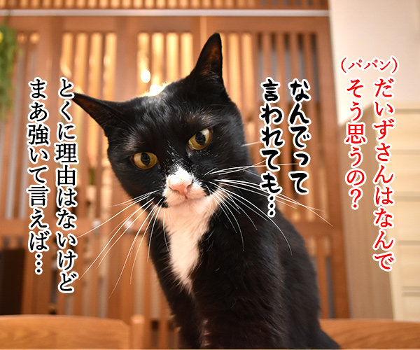 小泉進次郎さん 滝川クリステルさん ご出産オメデトゴザマース　猫の写真で４コマ漫画　３コマ目ッ