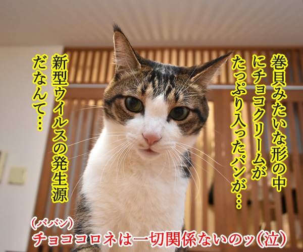 新型コロナウイルスはどこから？　猫の写真で４コマ漫画　２コマ目ッ