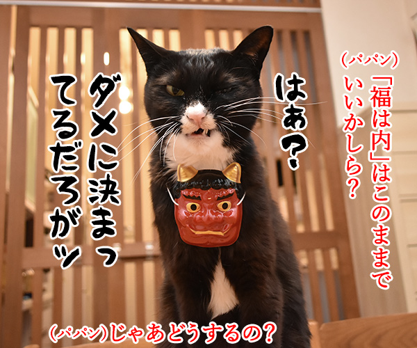 豆まきの「鬼は外」と「福は内」を変えるのよッ　猫の写真で４コマ漫画　３コマ目ッ