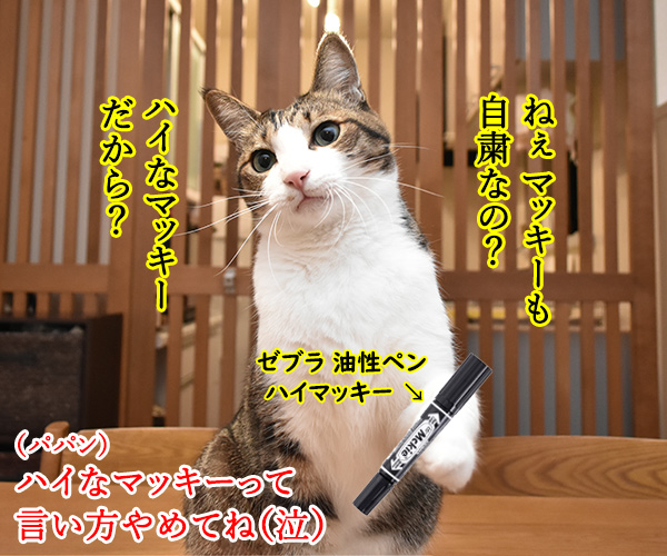 マッキーの曲が配信停止になるのはさみしいのよッ　猫の写真で４コマ漫画　２コマ目ッ