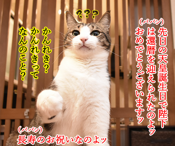 陛下が還暦のお誕生日を迎えられました　猫の写真で４コマ漫画　１コマ目ッ