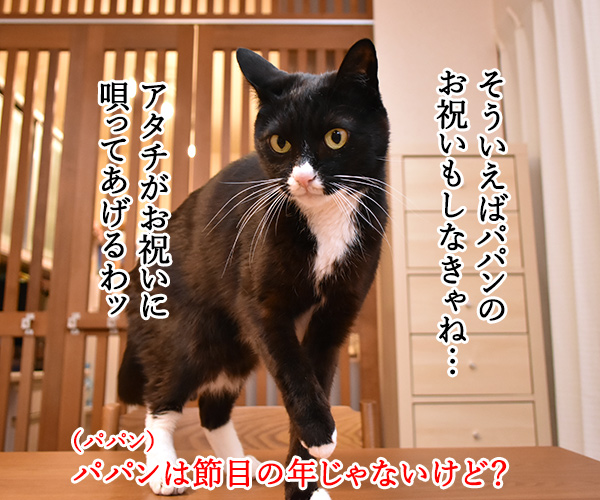 陛下が還暦のお誕生日を迎えられました　猫の写真で４コマ漫画　３コマ目ッ